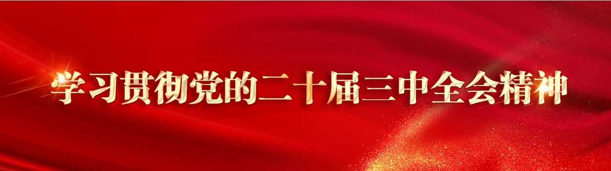 學(xué)習(xí)貫徹黨的二十屆三中全會精神